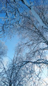 DSC_2986.JPG