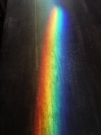 2BB27C52-5F20-4E1D-981F-2211F10E8D21.jpeg