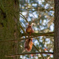 DSC_3548.jpg