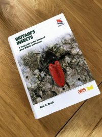 Britains Insects 1.jpg