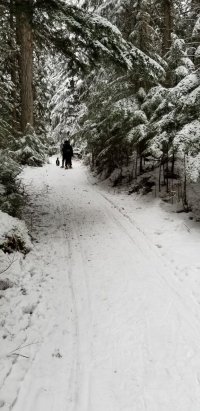 LOWER DORE TRAIL.jpg