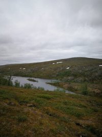 IMG-20210625-WA0014.jpg