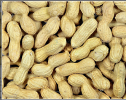 nuts.png