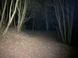 D7662D7B-EAB7-40ED-9C75-7209E8FFD9E6.jpeg