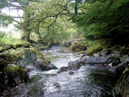 Beddgelert River - TG552107.jpg