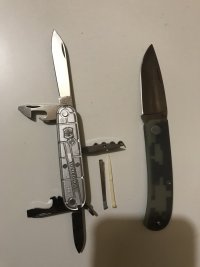 Manly Wasp and Victorinox.jpg