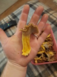 20211126_212231.jpg