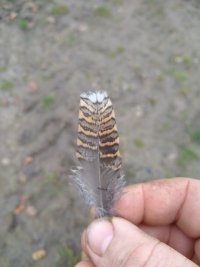 IMG_20211223_141606489.jpg