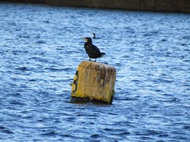 IMG_2182.JPG