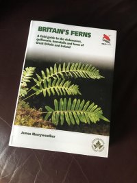 ferns book.jpg