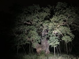 9E43B01C-78B3-437F-A89C-7DE430DEB827.jpeg