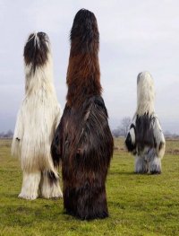 kukeri.jpg