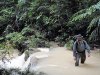 borneo.jpg
