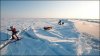 _45725771_arctic_512.jpg