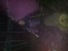 IMG-20120810-00363.jpg