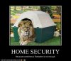 funny-pictures-lion-secures-your-home.jpg