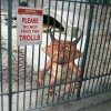 spike-albums-misc-picture2346-do-not-feed-trolls.jpg