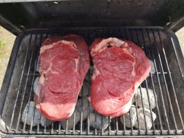 IMG_20220525_174447.jpg
