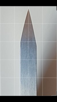 Screenshot_20220804-165123_Gallery.jpg