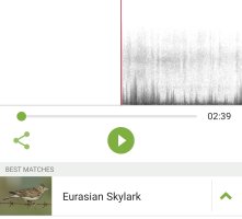 Screenshot_2023-01-22-14-49-35-58_69135caf3d1a00fdc8fa4b6a7182c3e7.jpg