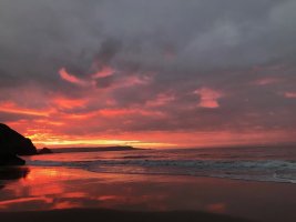 IMG_8279.jpeg