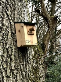 Plugged Nest Box.jpg