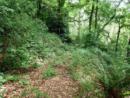 The Hidden Path - 2056 - 25 - TG5TG520391.jpg