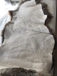 IMG_0877.jpeg