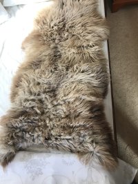 IMG_0876.jpeg