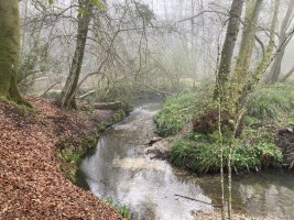 IMG_4370.jpeg