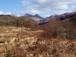 wild landscape - TG502507 - 2.jpg