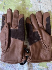 IMG_2452.jpeg