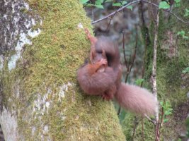 IMG_6091.JPG