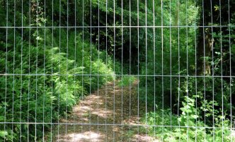 Through the Fence - 2056 - IMG_4307.jpg