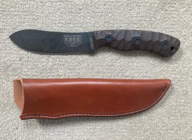 esee7.jpg