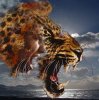 Grym-to-Leopard-1-Small.jpg