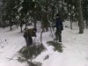 IMAG0034.jpg