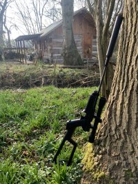 IMG_3807.jpeg