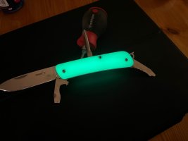 IMG_3908.jpeg