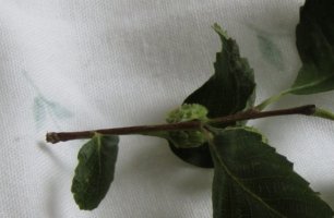 IMG_1655.jpeg