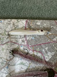 IMG_2885.jpeg