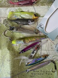 IMG_2886.jpeg