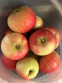 IMG_3468.jpeg
