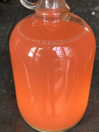 IMG_3474.jpeg