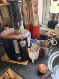 IMG_3467.jpeg
