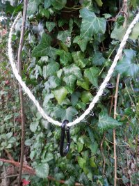 3 rope from string loop and karabiner around tree.JPG