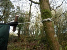 toggle guys (8) bungee style on tarp and tree.JPG