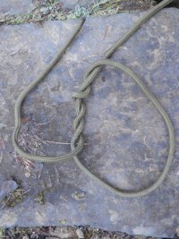 An adjustable loop knot (2) wrap the working end around.JPG