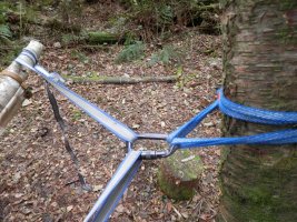 10 MOD sheltersheet hammock straps clipped into tree hangers.JPG