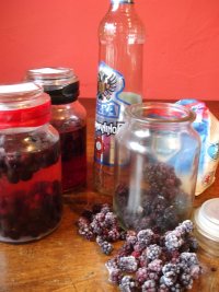 bushcraft booze (7) Blackberry Vodka.JPG